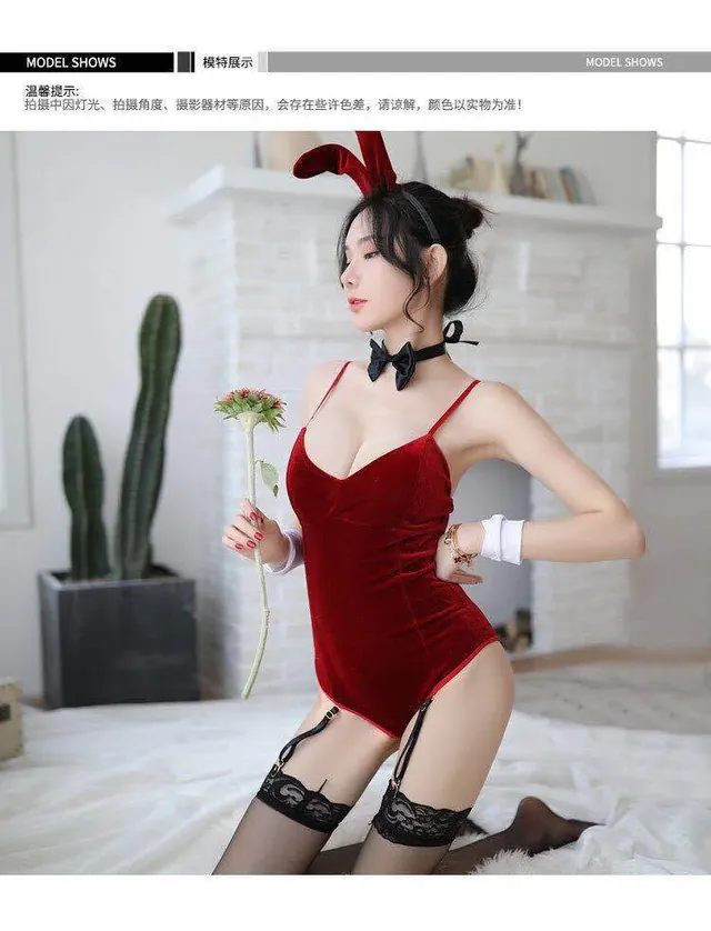 Bunny Lingerie Set UAE – Complete Costume Outfit — photo 9